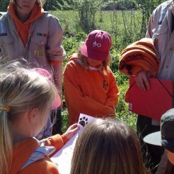 52010580 - Scouts en Gidsen Zaventem 